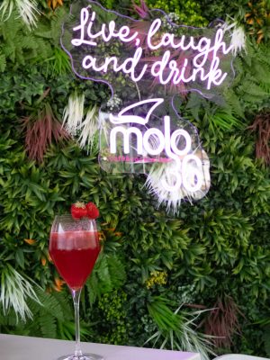 Bar Molo 36 ad Andora